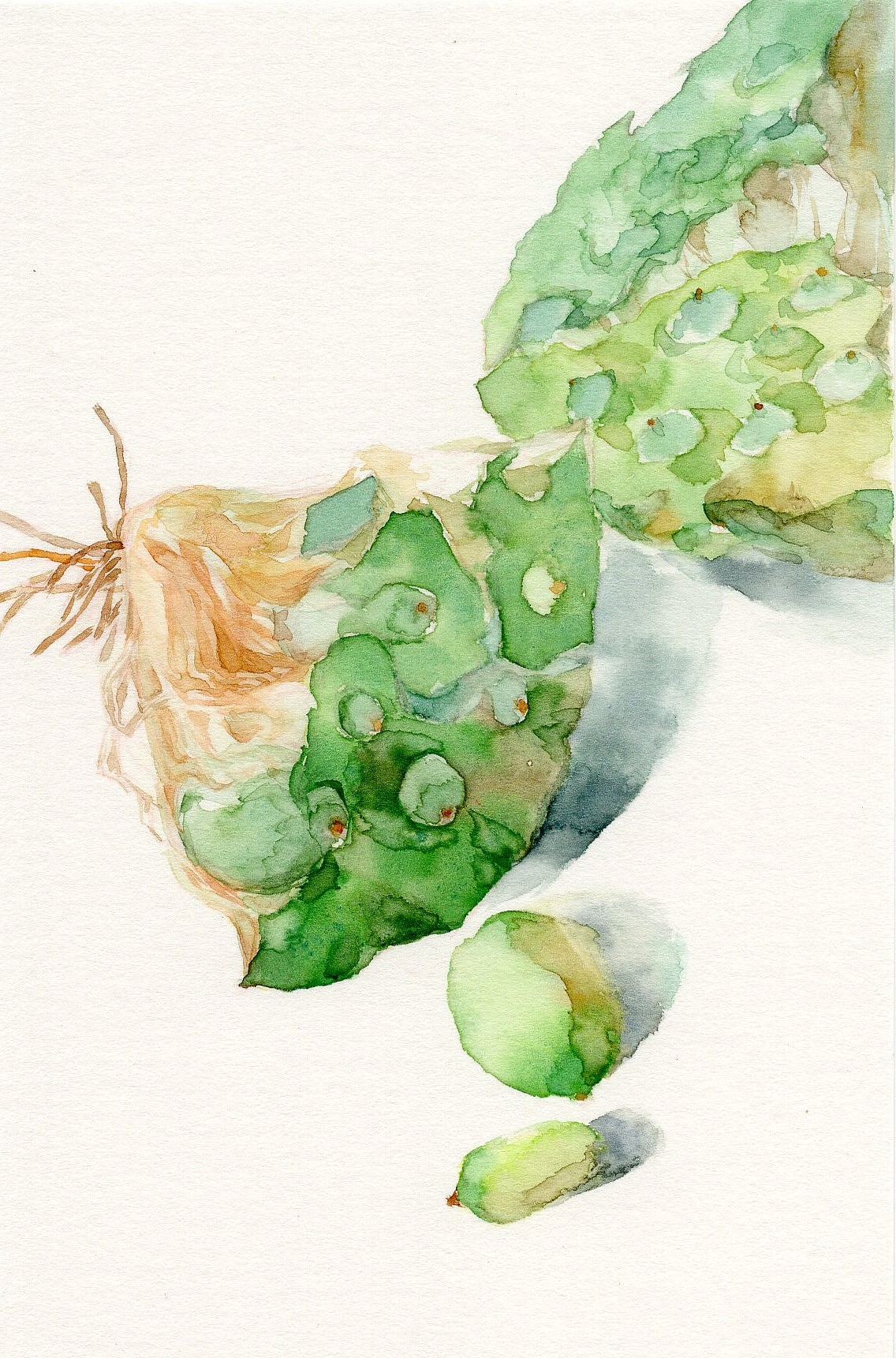 夏日的痕迹 - 原创作品 - 站酷(zcool)