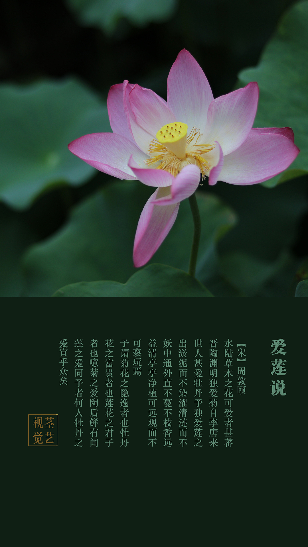茎艺视觉品牌设计（图ZMTE0MDEyMjQ0） - 品牌 - 站酷设计师Zhangxueqin原创素材 - 站酷ZCOOL