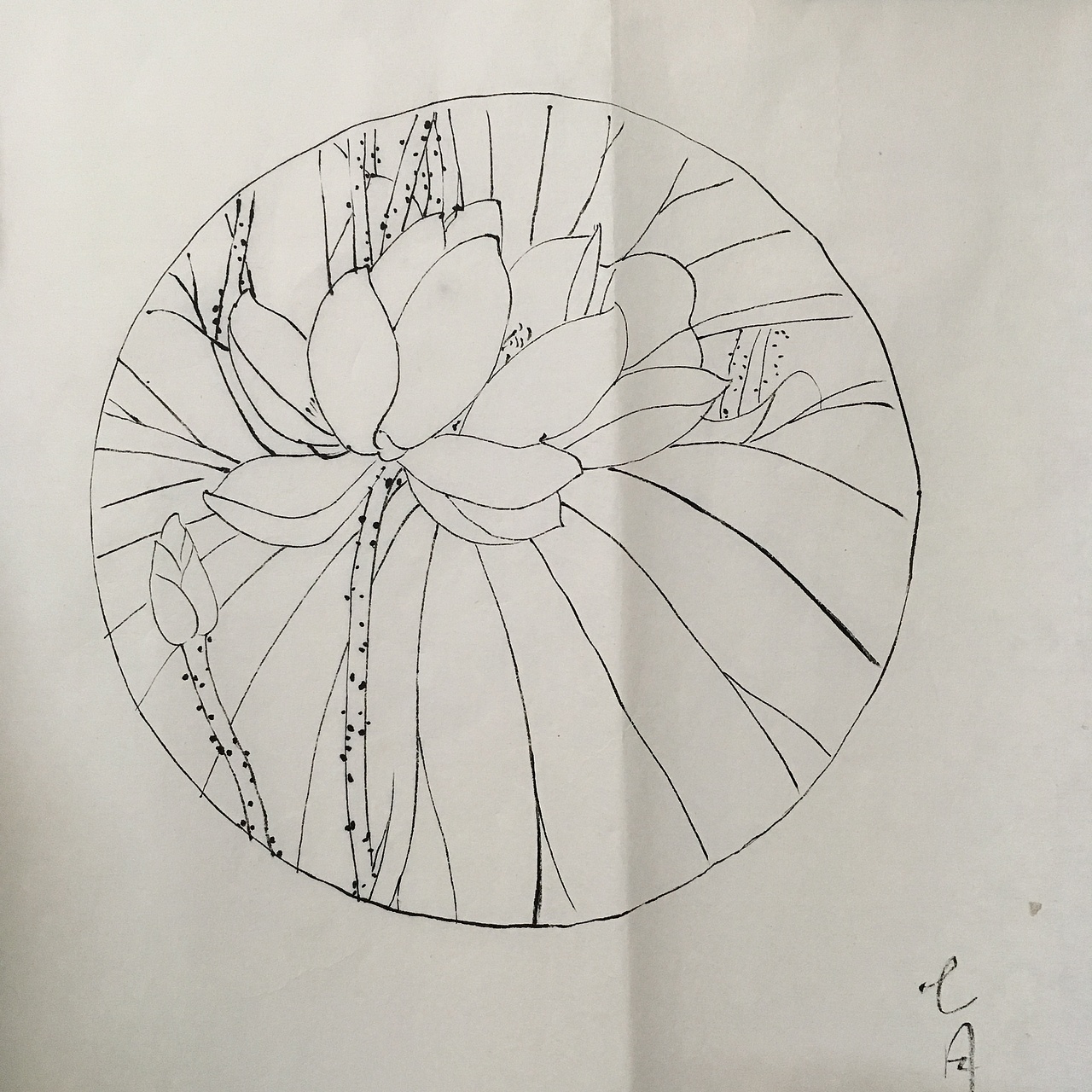 工笔白描（图ZNjU5NDYxODA=） - 绘画 - 站酷设计师喃七月原创素材 - 站酷ZCOOL