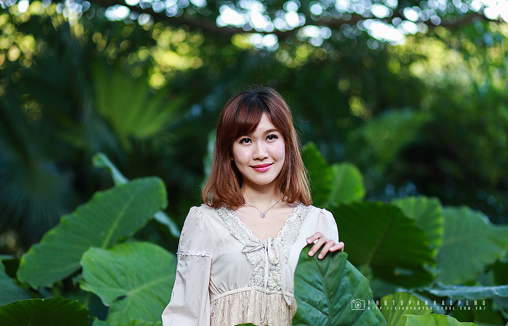 莲花山下的杜鹃花