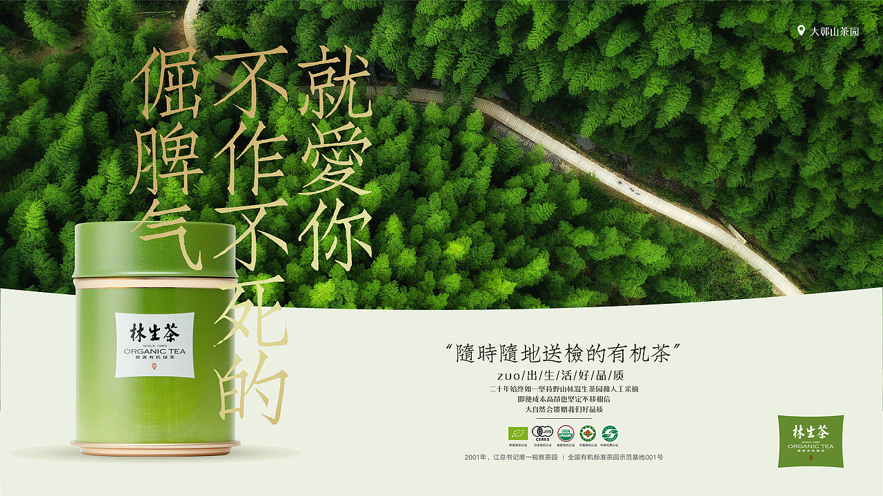 婺源林生茶品牌升级