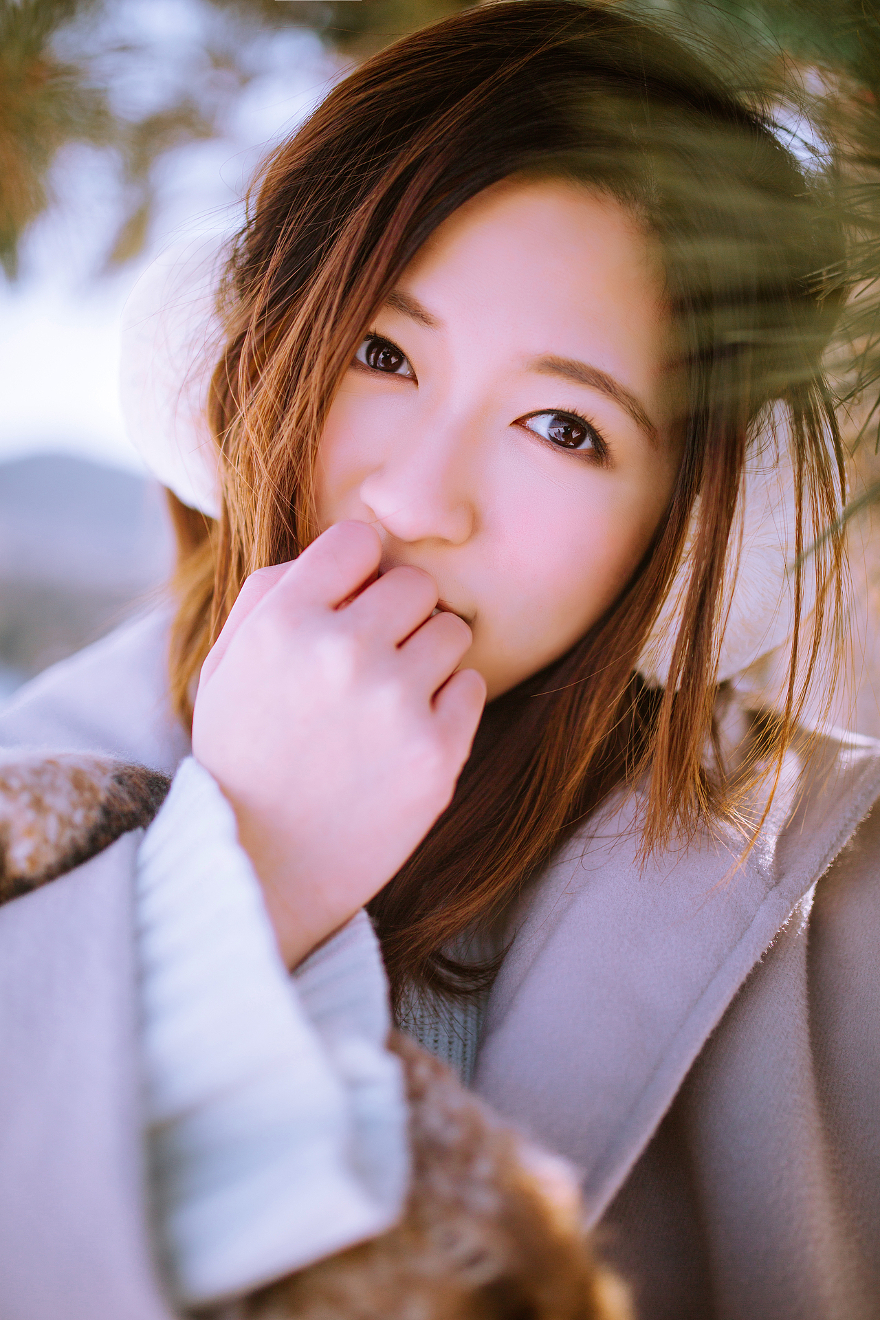 我在零下的阳光里等一场雪