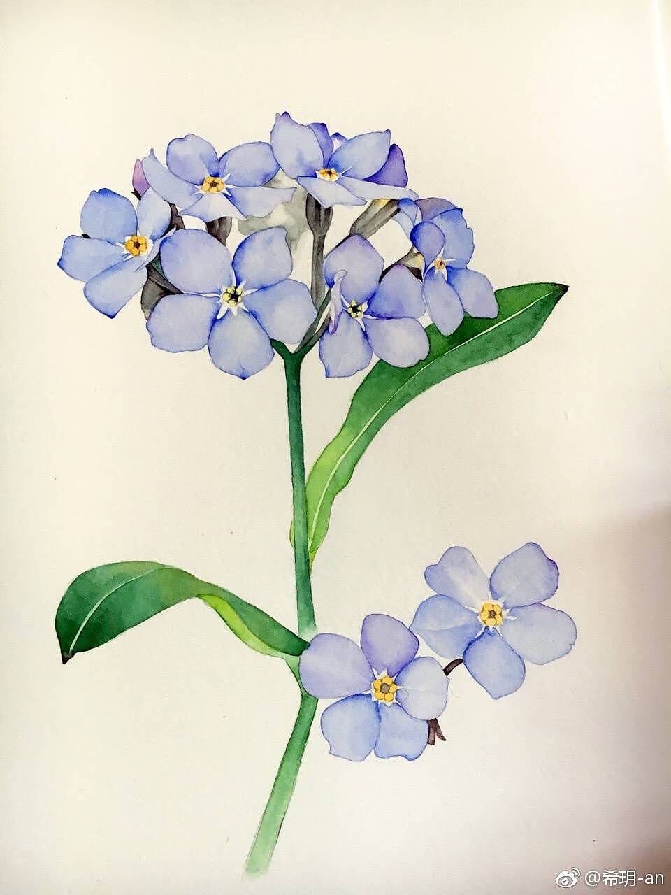 水彩花卉|插画|商业插画|天空安静 - 原创作品 - 站酷 (zcool)