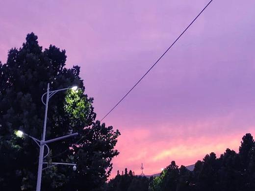 长春花蓝色的日落