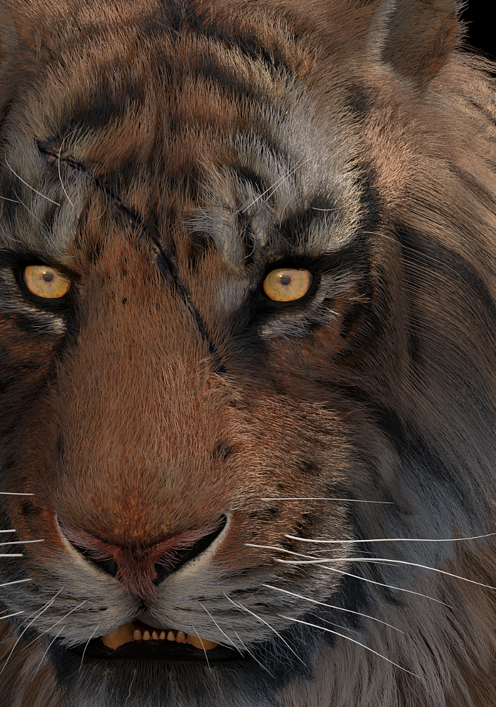 老虎（圖ZMTQ4NTk5OTE2） - 人物/生物 - 站酷設(shè)計(jì)師lxzm原創(chuàng)素材 - 站酷ZCOOL