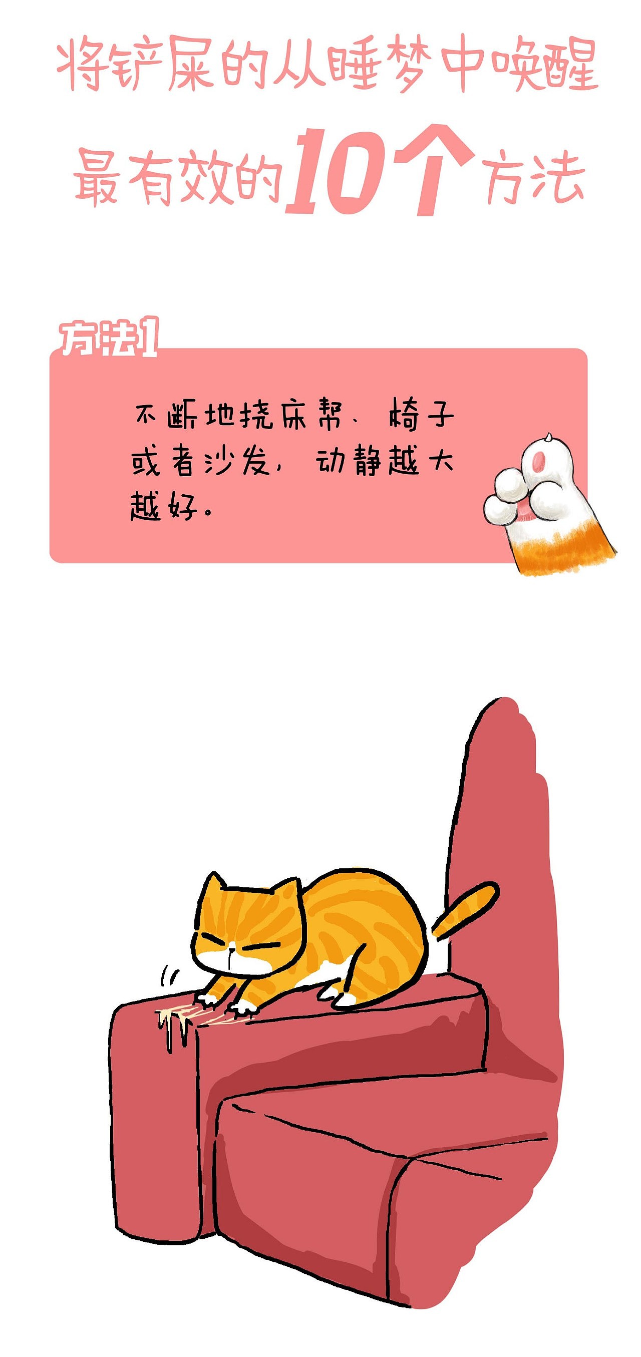 把铲屎的叫醒最有效的10个方法