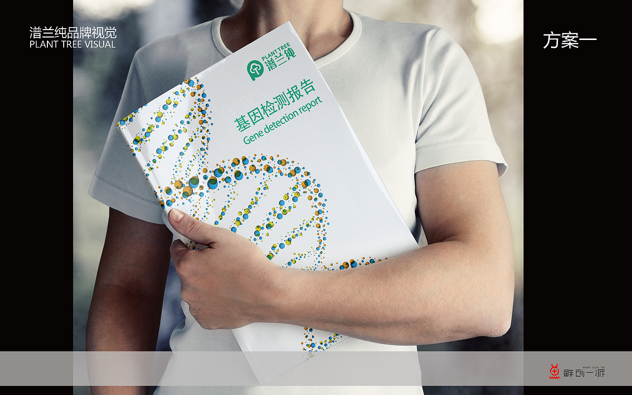 谱兰纯品牌设计