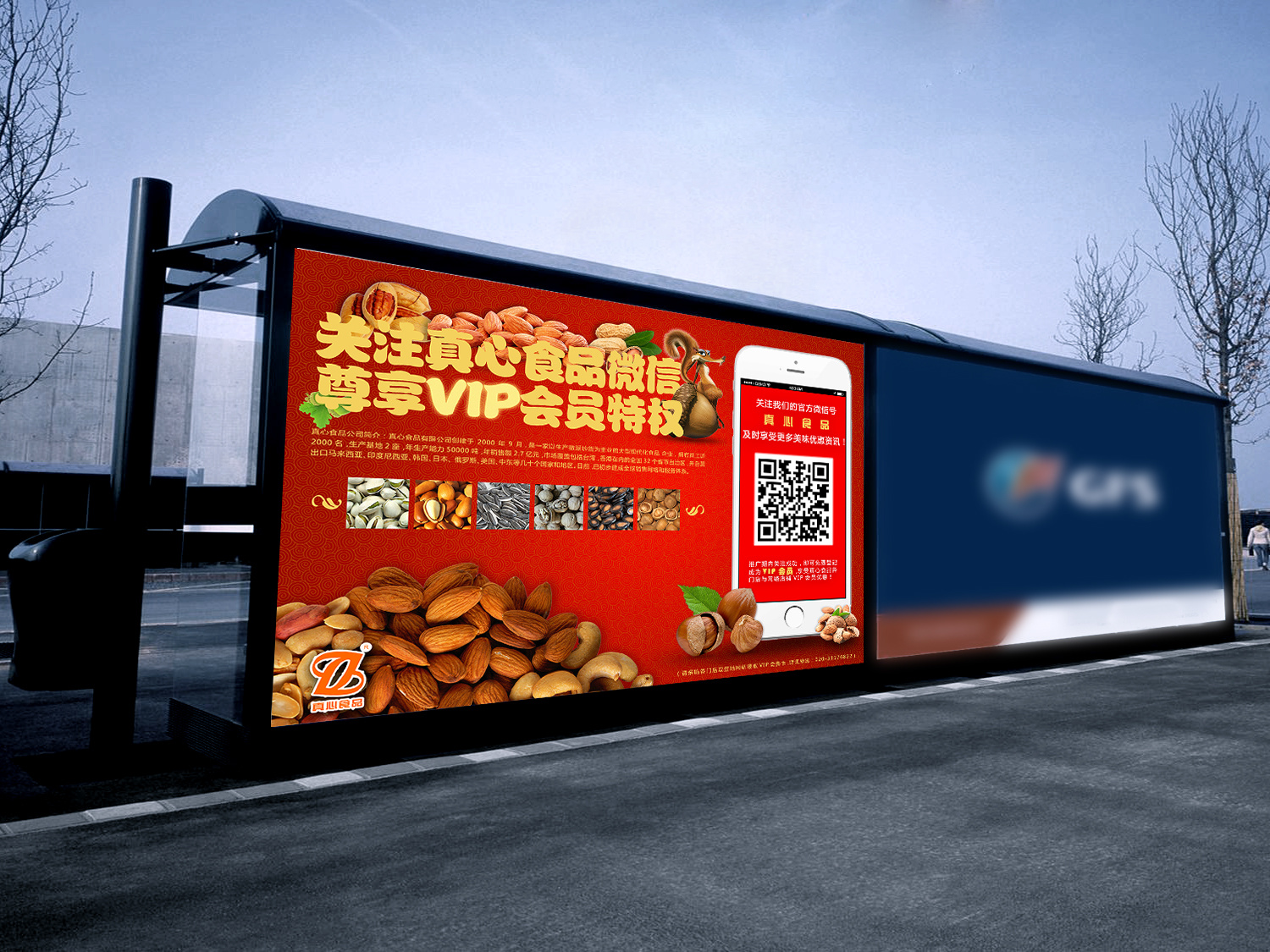 真心瓜子 室外户外车站灯箱广告