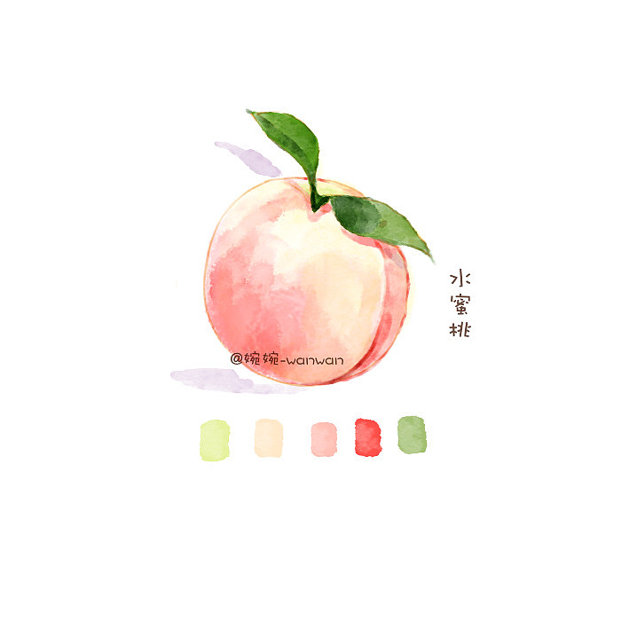 ipad 水彩插画-美食合集