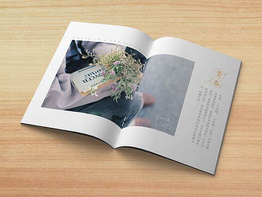 ‘’画册-青春