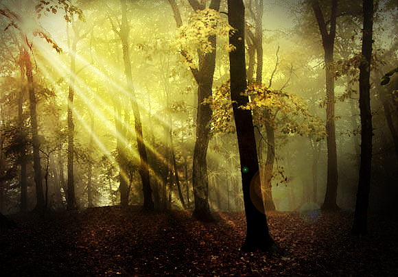 大学时期作品（图ZNzMxOTE1ODQ=） - 其他平面 - 站酷设计师LEMON豆原创素材 - 站酷ZCOOL