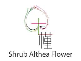 木槿花店