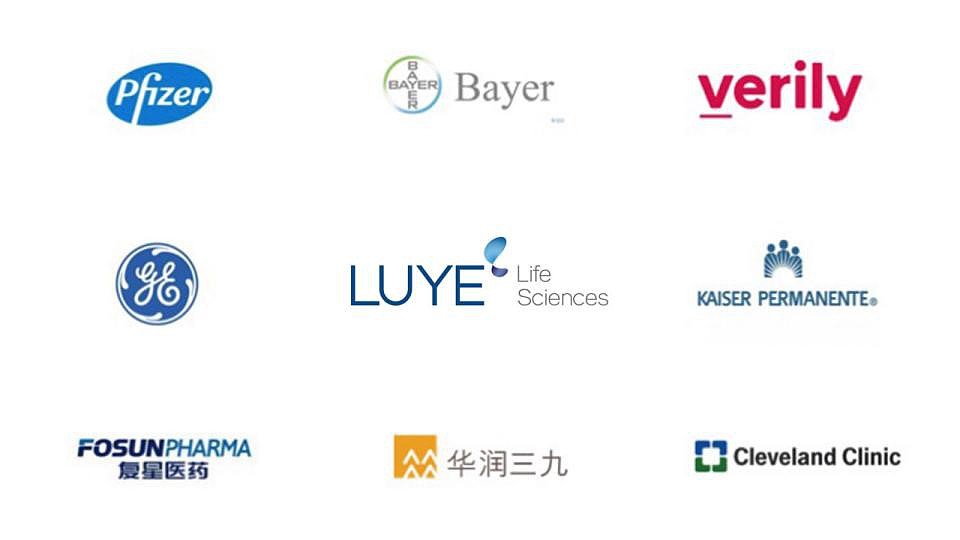 绿叶生命标志修改提案（图ZMjM2MDkwMDI0） - Logo - 站酷设计师许天博原创素材 - 站酷ZCOOL