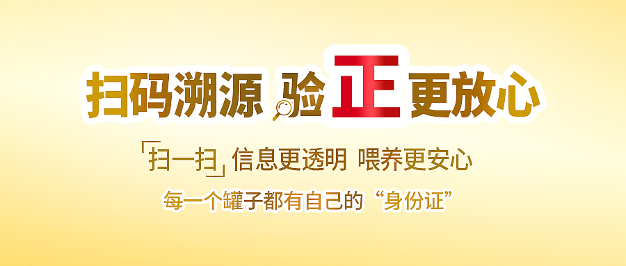 溯源码 海报 视频框 封面