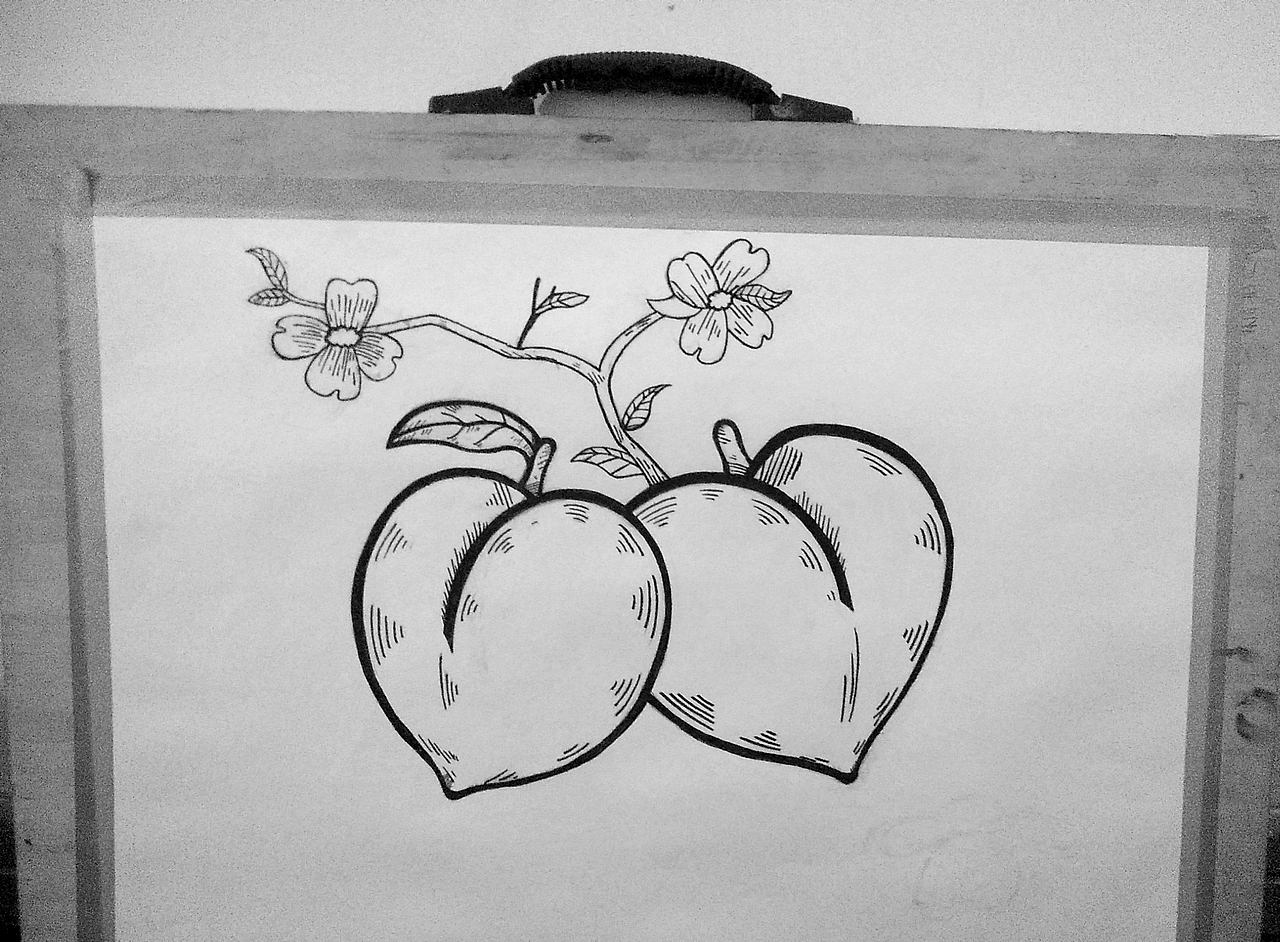 西郎里養(yǎng)生醋包裝設(shè)計（圖ZMTQzODg5OTQ0） - 包裝 - 站酷設(shè)計師此賬號已停用A原創(chuàng)素材 - 站酷ZCOOL