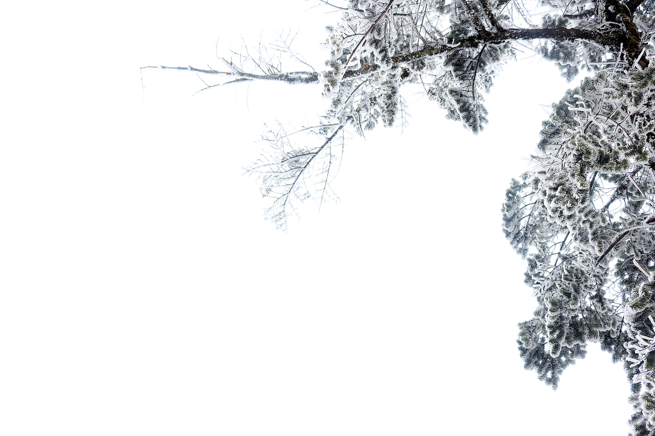 摄影 峨眉山（图ZMTY4MDM3Nzg0） - 风光摄影 - 站酷设计师香菜小龍包原创素材 - 站酷ZCOOL