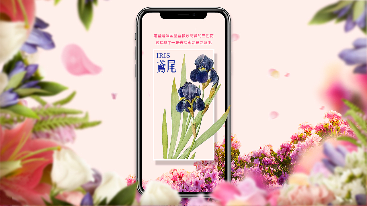 Ellebebe嗳乐蓓贝花卉系列上色H5（图ZMTk5MjQ2NjMy） - 移动端网页 - 站酷设计师丁满渣人原创素材 - 站酷ZCOOL