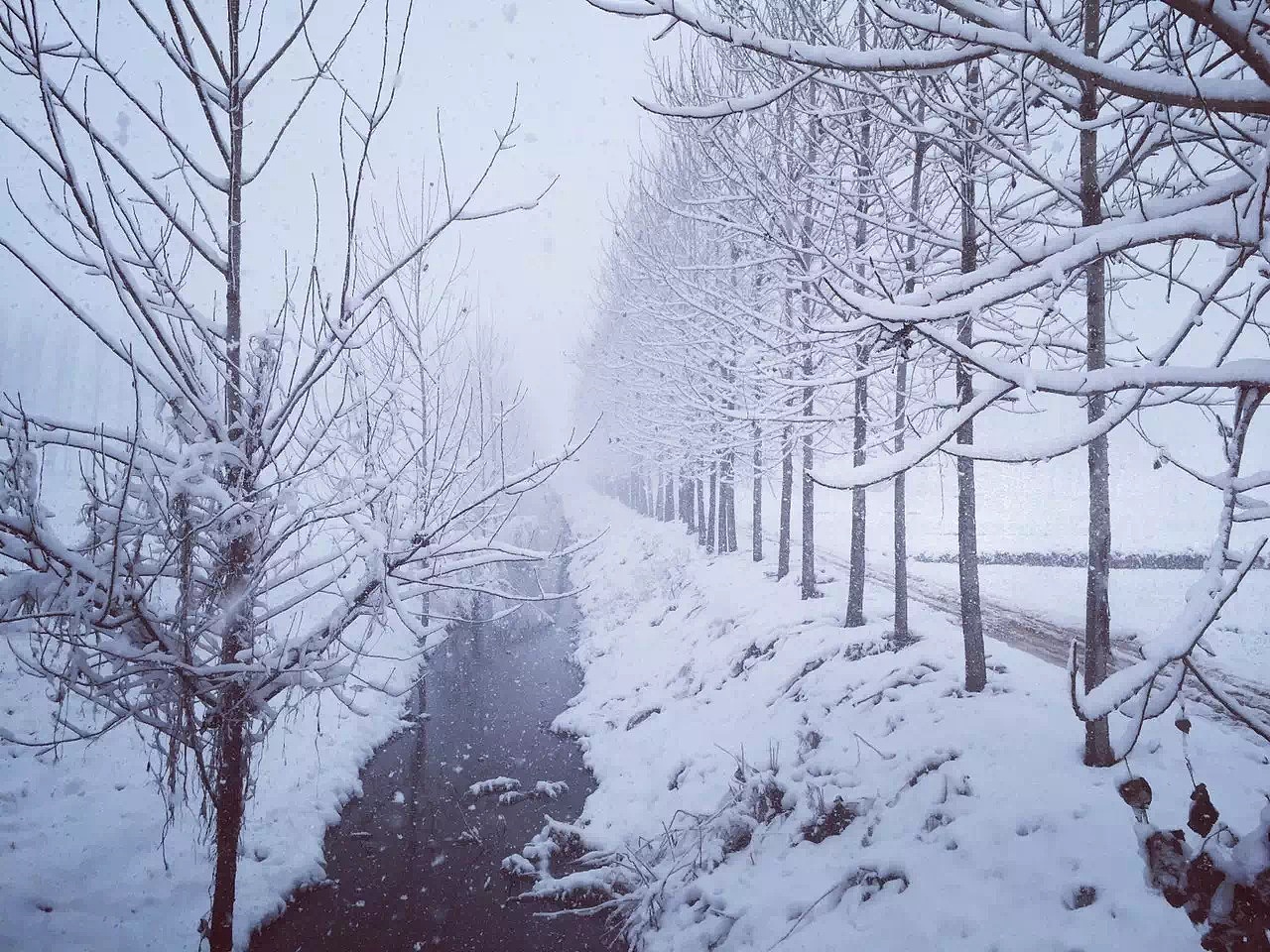 无锡锡惠公园雪景，红色的灯笼映衬出江南雪独特的美|无锡|锡惠公园|雪景_新浪新闻