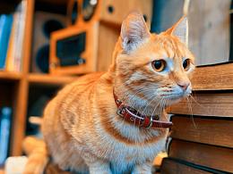 iphone11手机拍照，纯个人喜爱随拍哦。