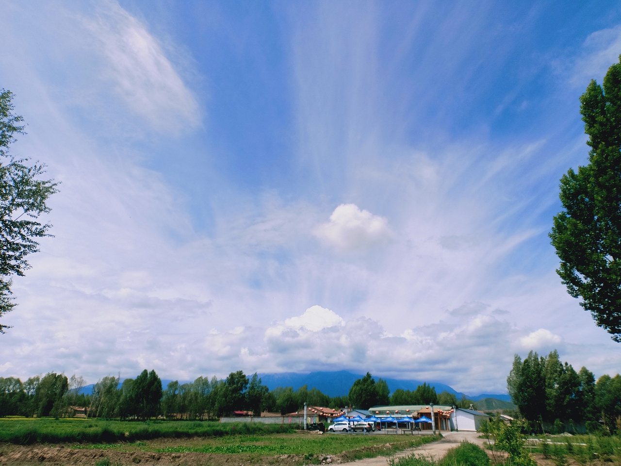 随手拍（图ZMTg3MDcxMTIw） - 人文/纪实摄影 - 站酷设计师冯Silvia原创素材 - 站酷ZCOOL