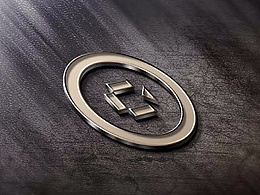 部分VI作品-成華基金