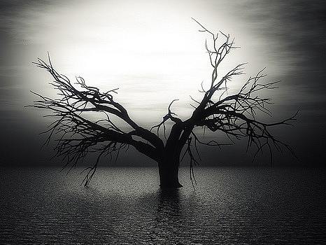 像一首诗？ 艺术吧