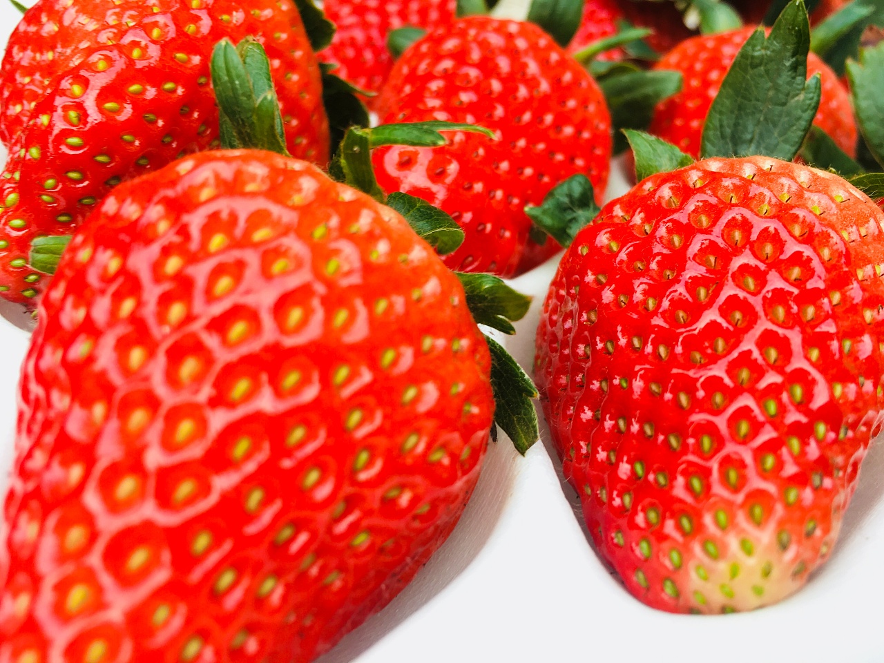 鲜草莓过季了怎么办？有种零食叫草莓干，酸甜香脆，好吃到没朋友__财经头条