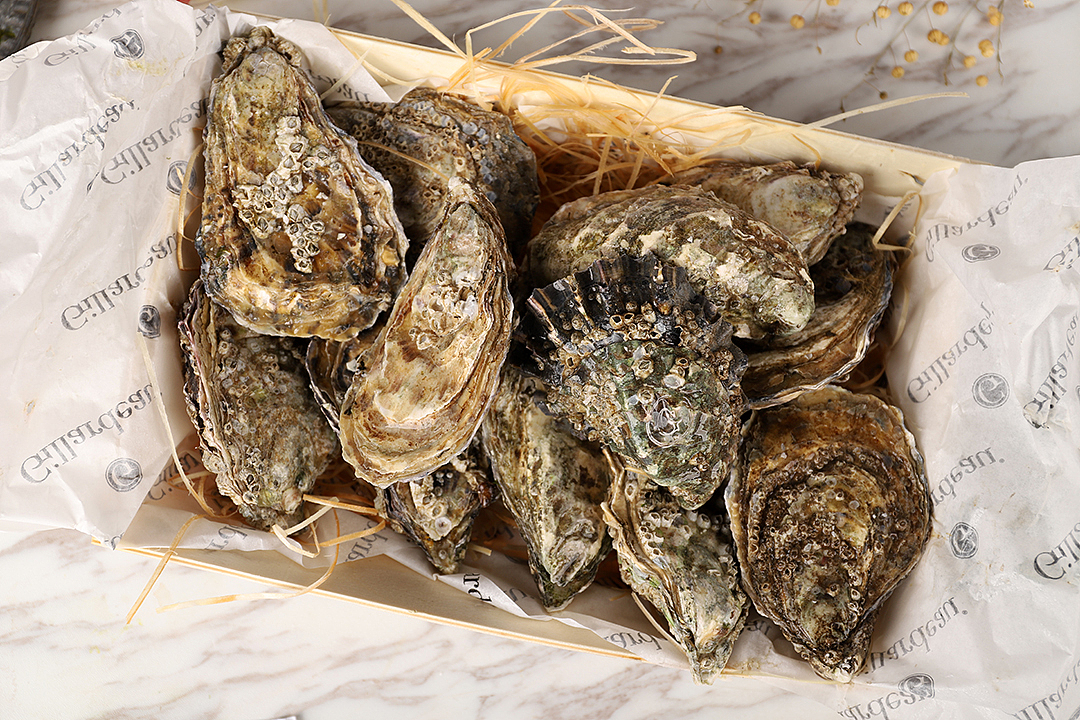 法国吉娜多生蚝丨飞鸟传媒——专注生鲜农特产拍摄设计