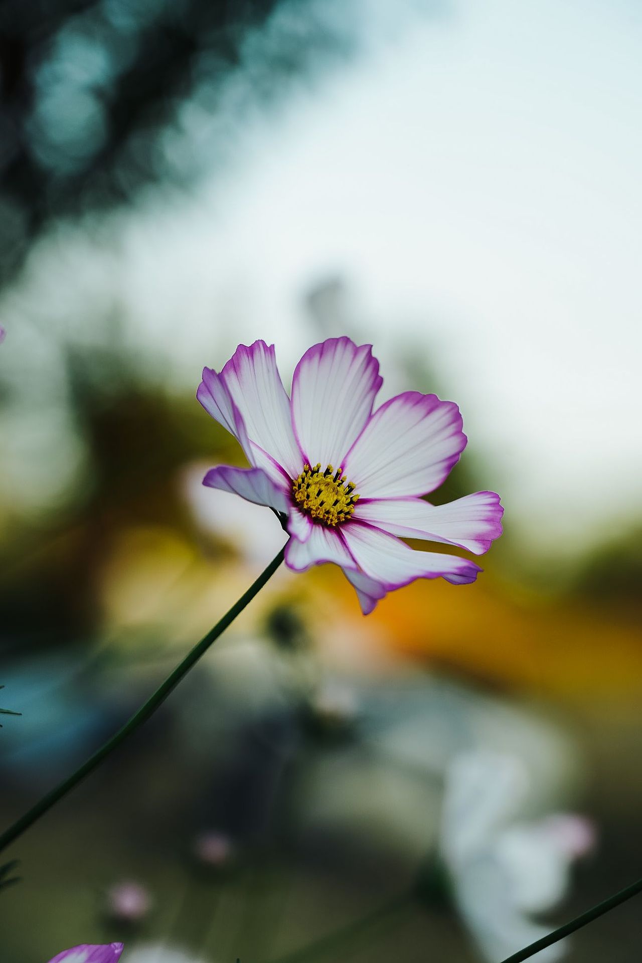 去双山泉走走…