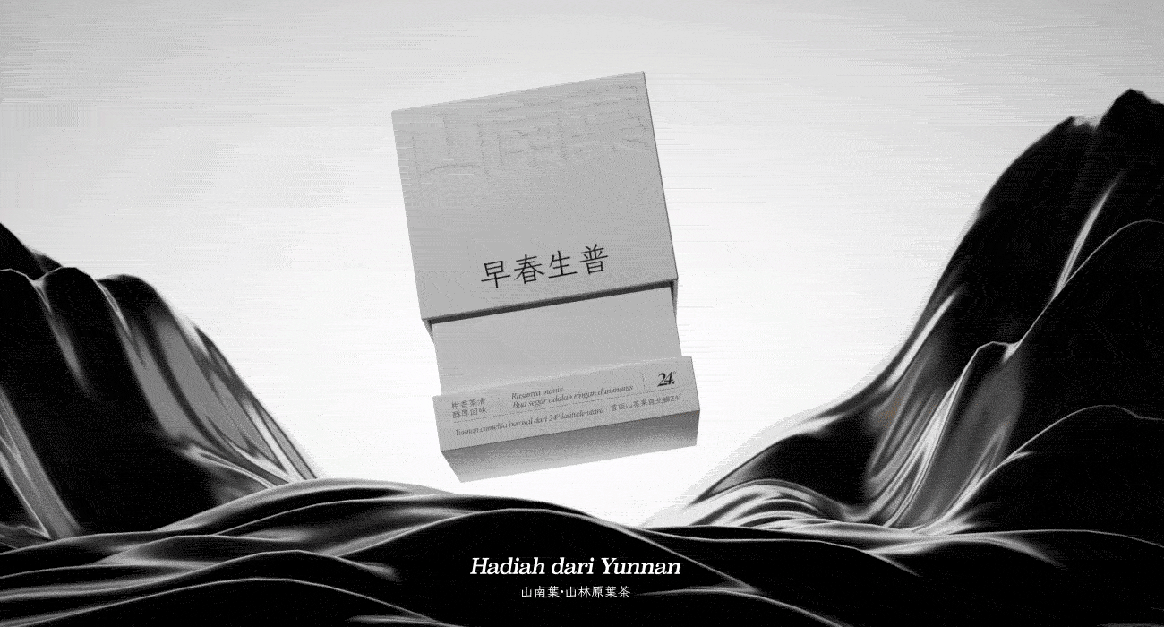 山南葉 茶叶礼盒包装设计