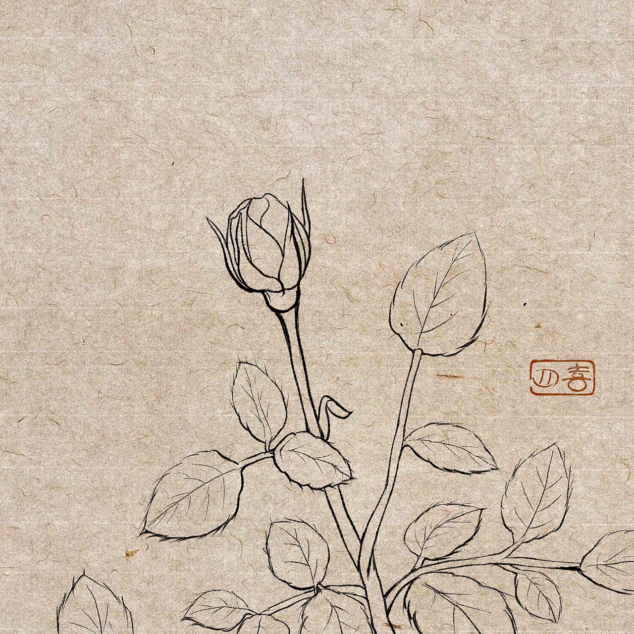 谁还不是一个含苞待放的花骨朵?
只待恰时机~