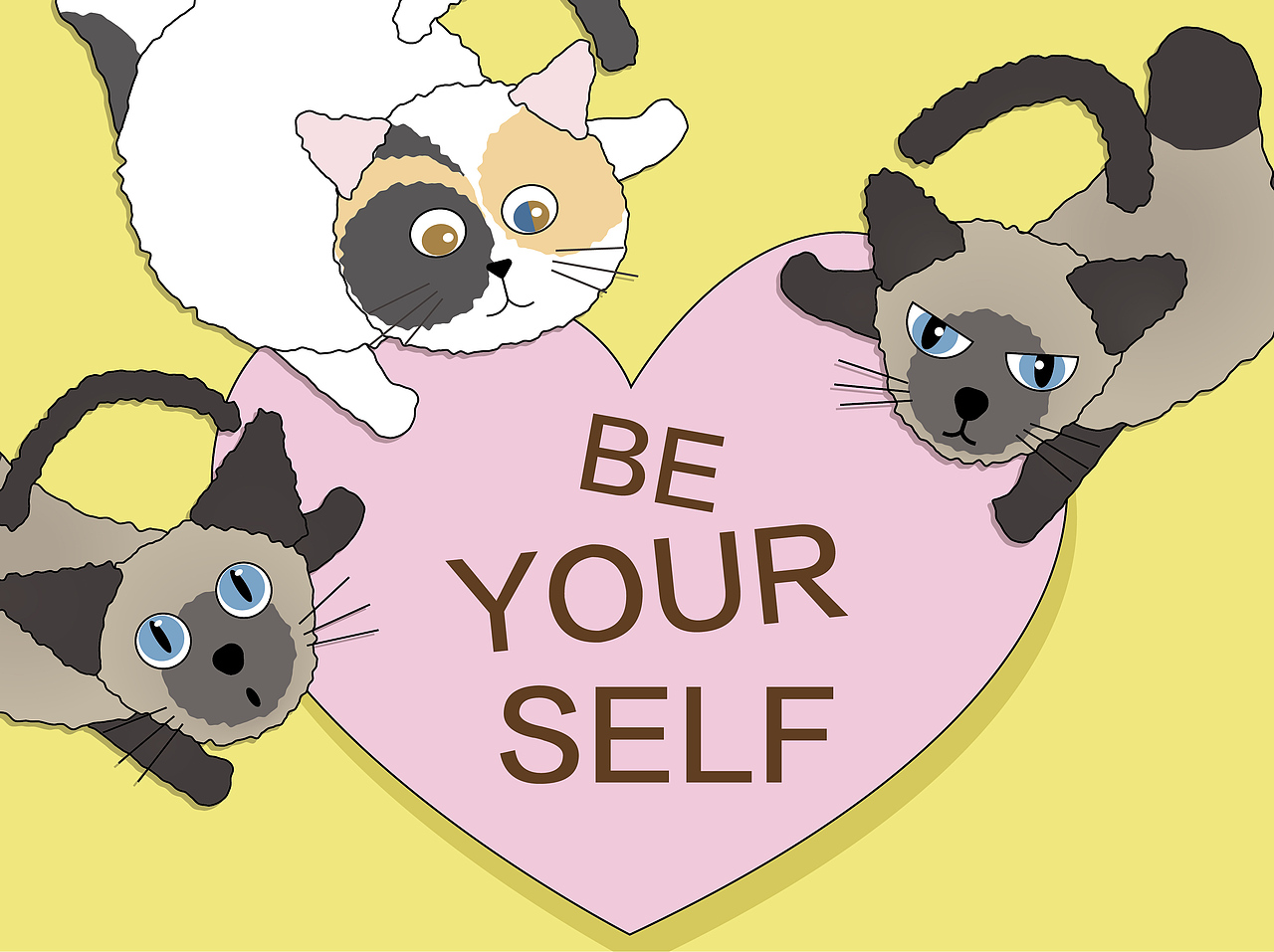 憨憨猫小队hanhancat