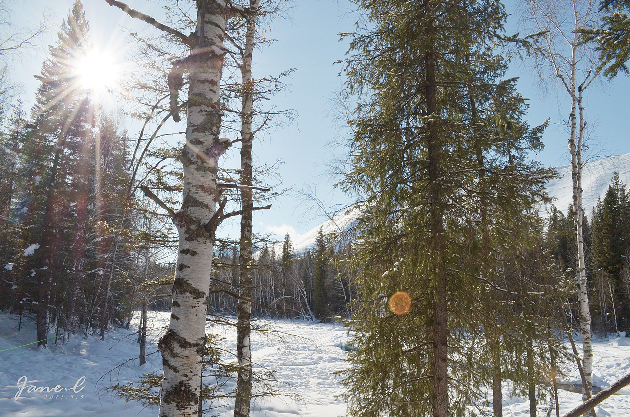 北疆之行,看雪的世界