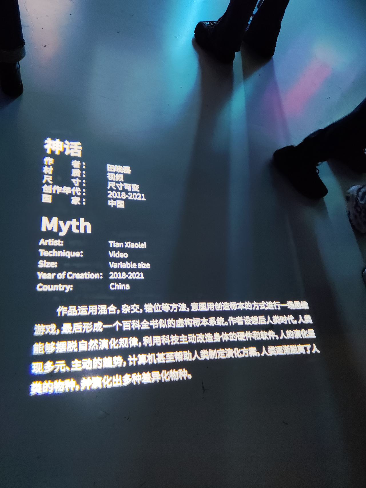 山东美术馆2022“共生世界”双年展现场作品拍摄（图ZMzMwNDcwMzYw） - 人文/纪实摄影 - 站酷设计师慢食光原创素材 - 站酷ZCOOL
