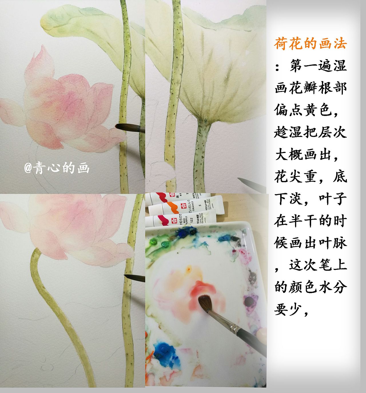 《临摹荷花步骤图》（图ZMTAxMzM3MjQ4） - 创作习作 - 站酷设计师青心原创素材 - 站酷ZCOOL