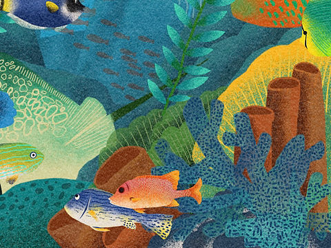 海底世界