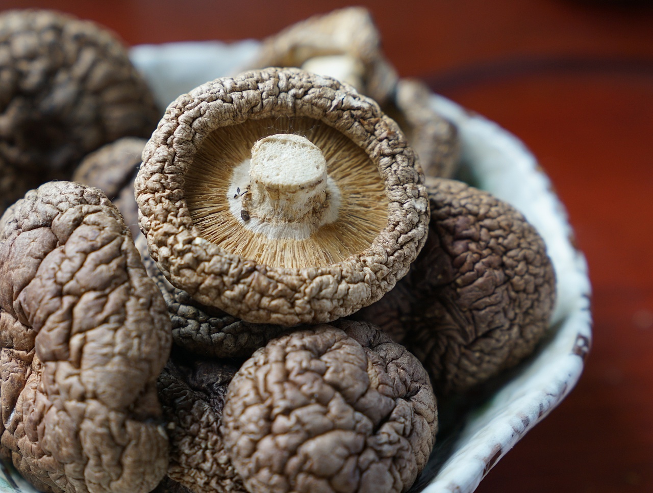 香菇产品拍摄农产品特产山货拍摄|摄影|产品摄影|知蜻电商 - 原创作品