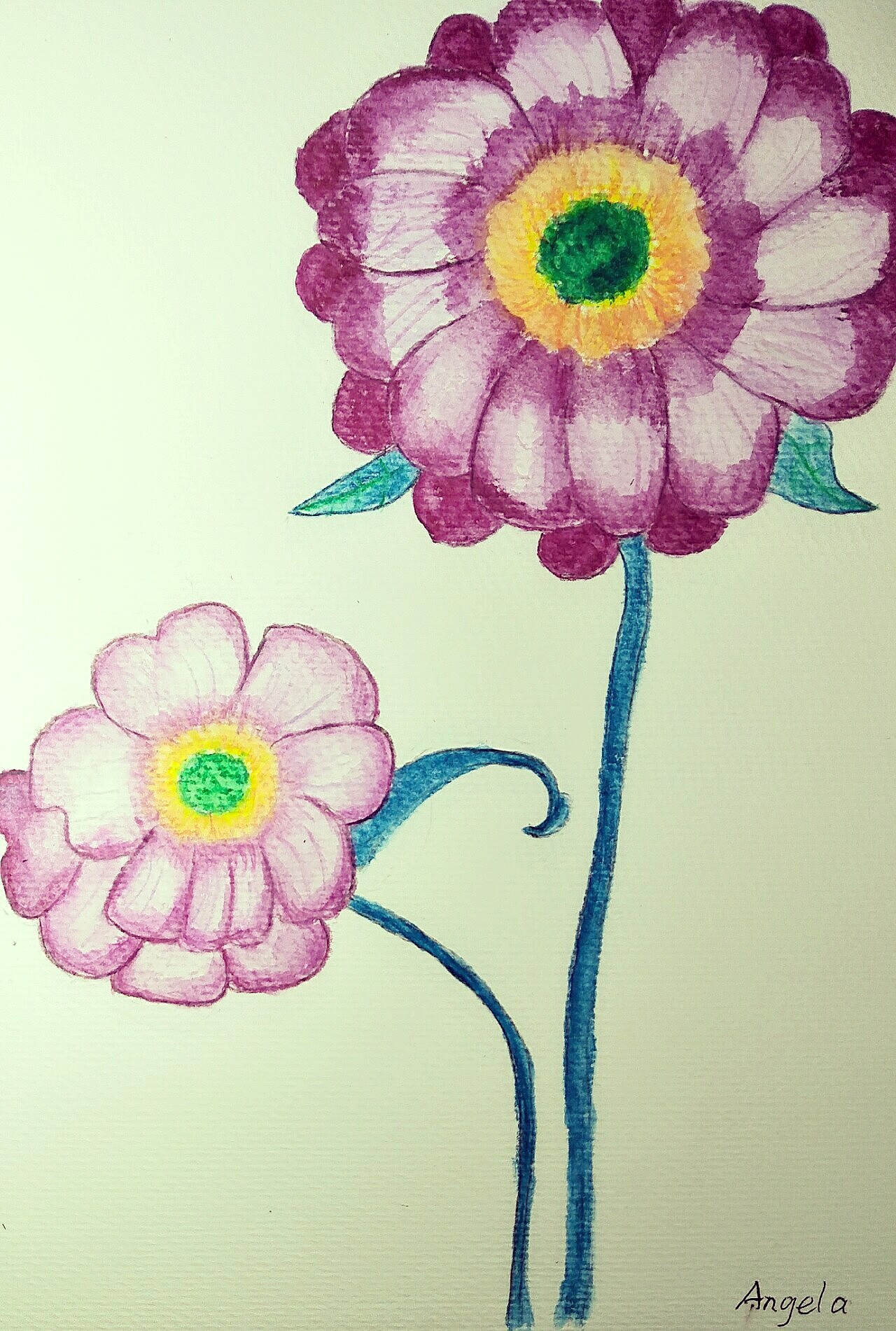 水溶性彩铅 花卉