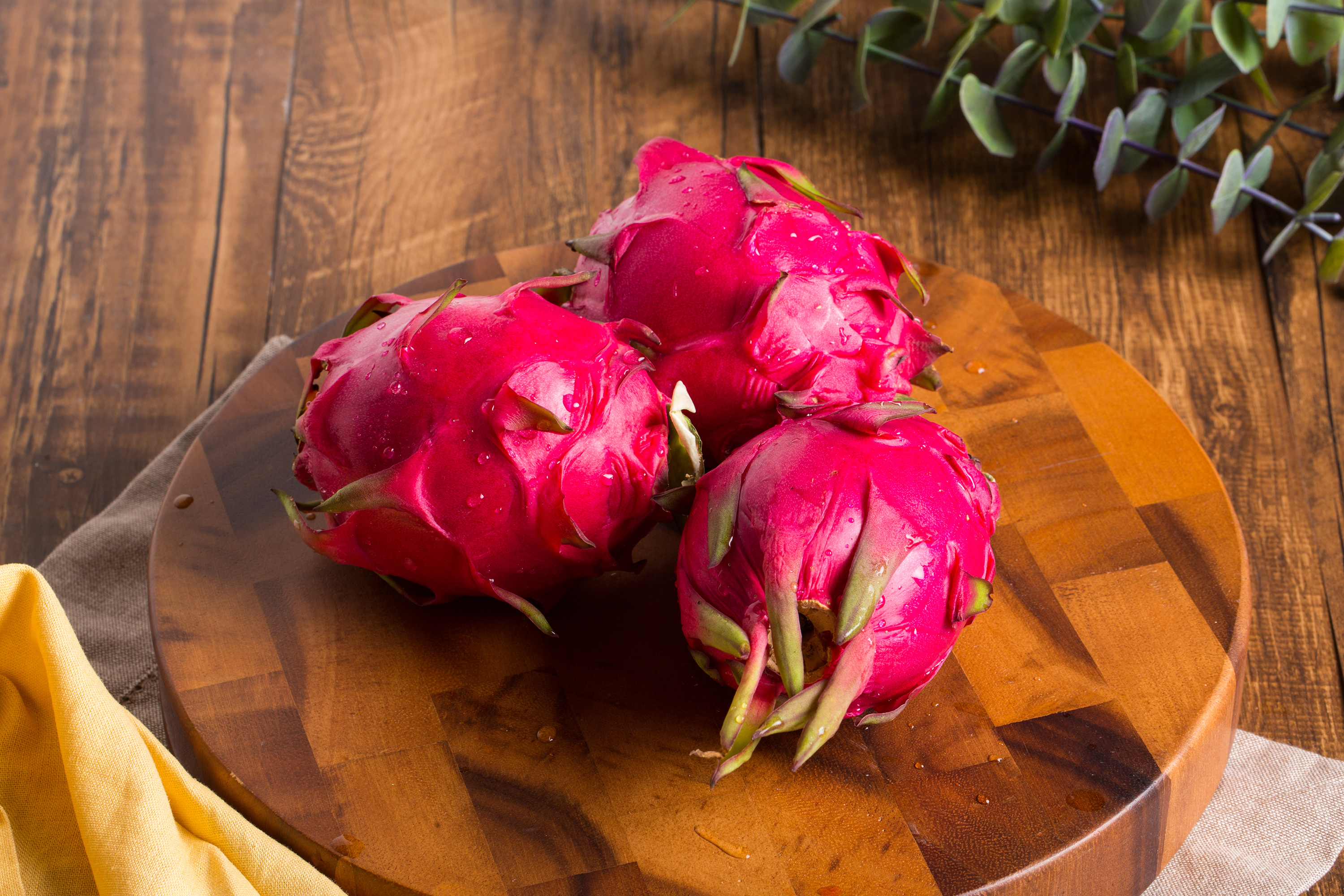 火龙果|摄影|静物|糯糯糯糯米猪 - 原创作品 - 站酷 (zcool)