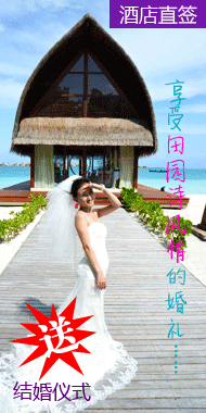 马尔代夫 旅游banner小广告