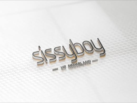 品牌升级飞机稿！vi设计/品牌设计！