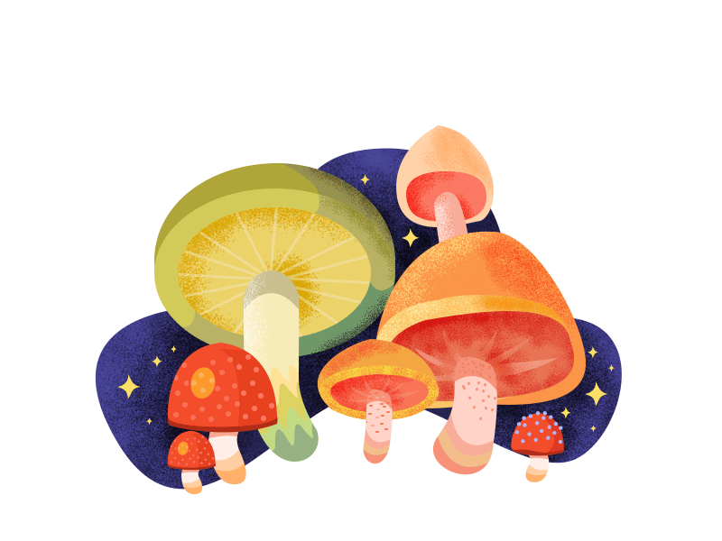 蘑菇插画临摹