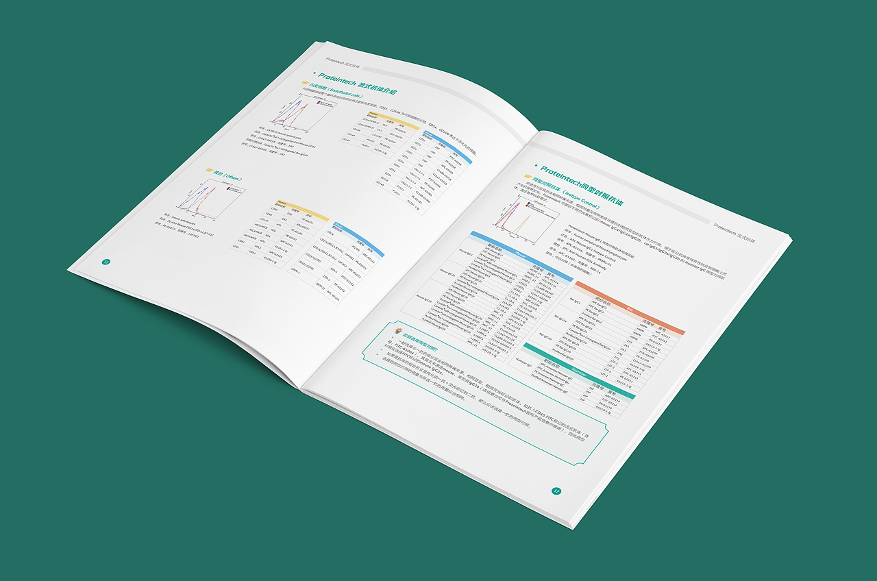 画册（图ZMjIyNTkzNTI4） - 书籍/画册 - 站酷设计师派大星的海秒宝宝原创素材 - 站酷ZCOOL