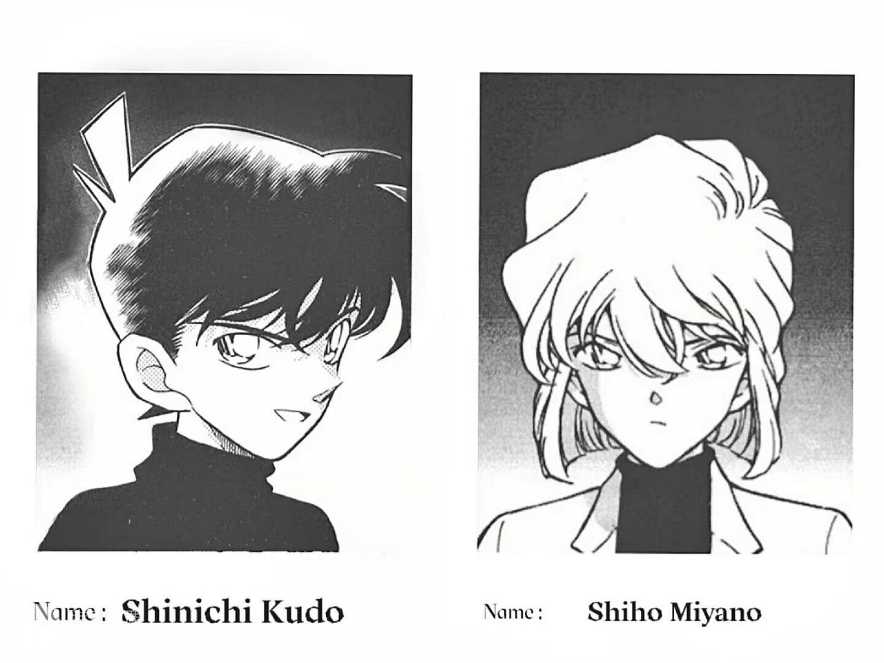 新志_自从厌倦于追寻站酷ZCOOL