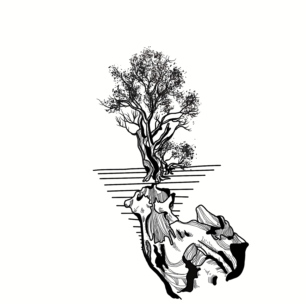黑白插画（图ZMTk2ODQ0Mzg0） - 商业插画 - 站酷设计师哩哩和啰啰原创素材 - 站酷ZCOOL