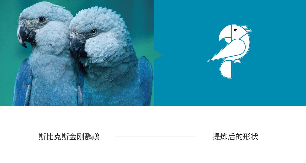 SPIXI斯比克斯——科技品牌全案设计