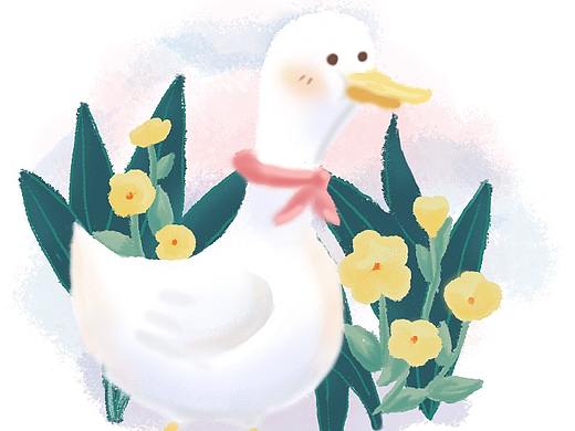 小鸭子
