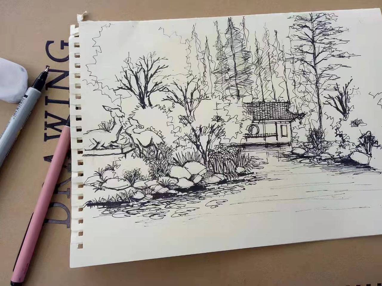 速写杭州植物园