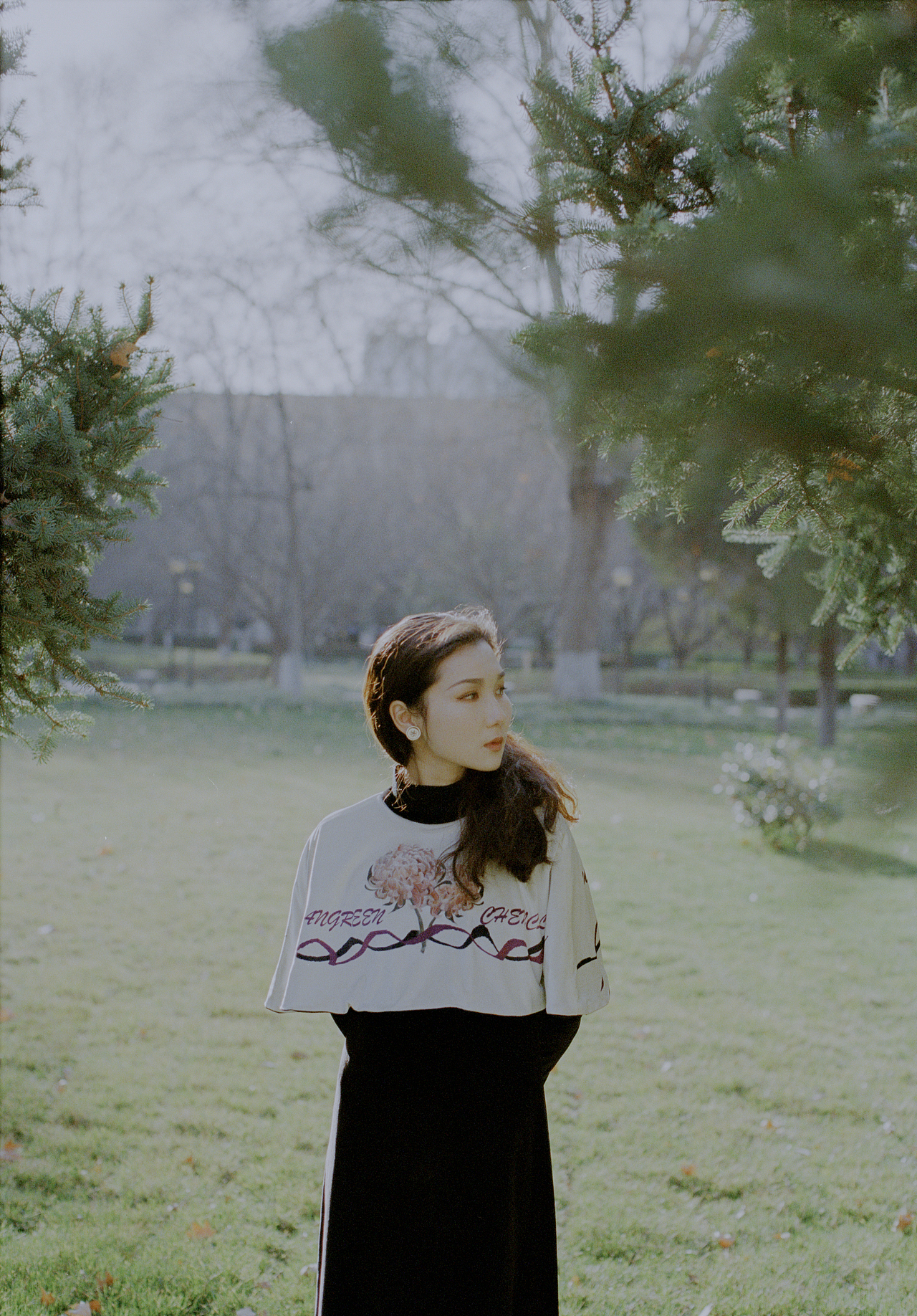 当暖风吹落花瓣