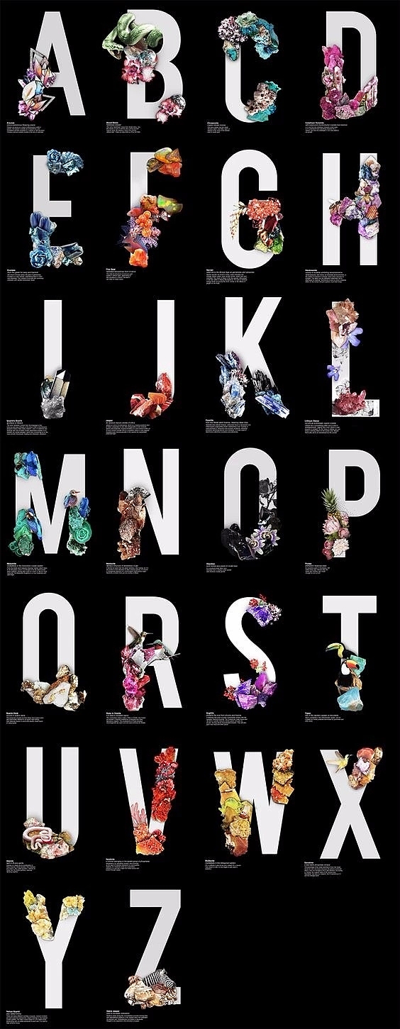 平面-一组关于花的设计